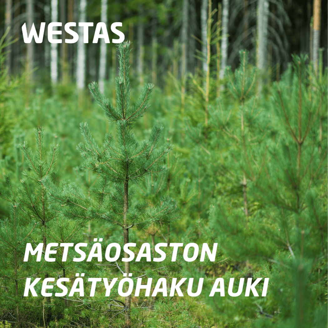 Metsäosaston kesätyöhaku avattu