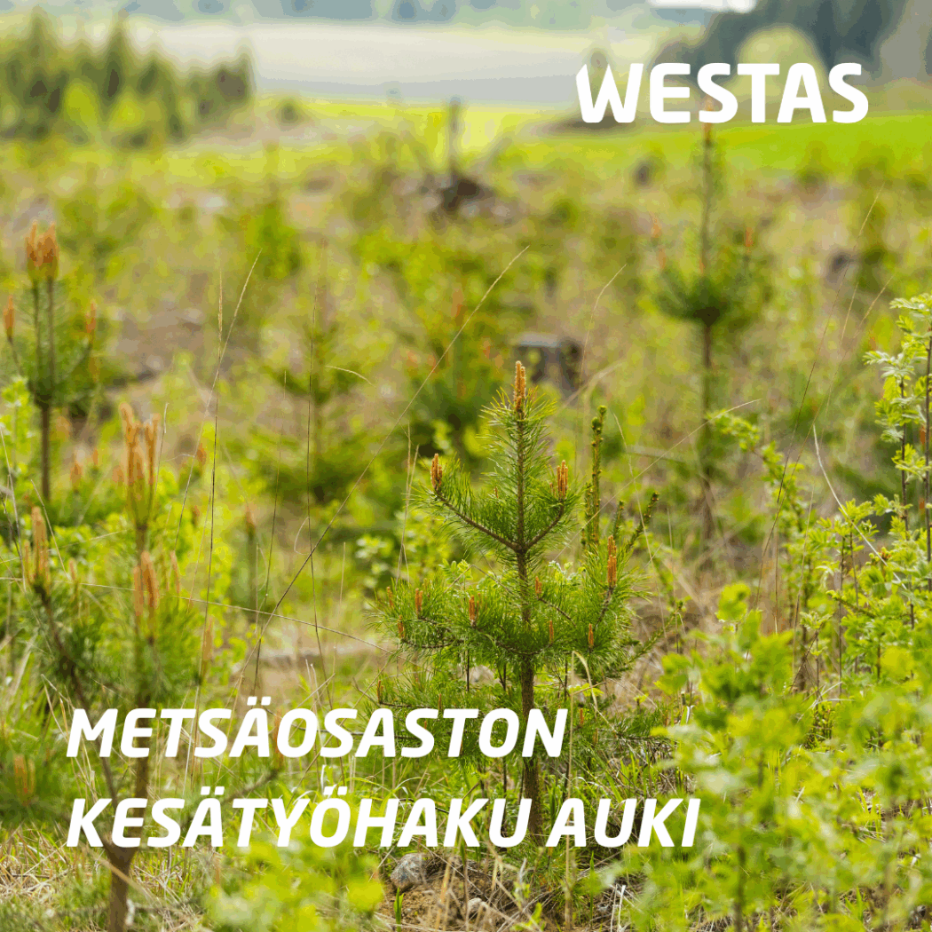 Metsäosaston kesätyöhaku 2026 – hakuaika päättynyt