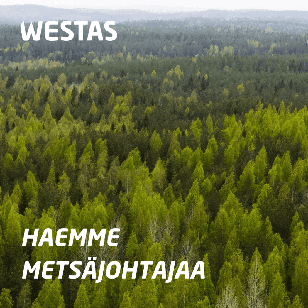 Haemme metsäjohtajaa